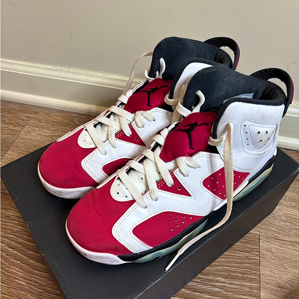Air Jordan Carmine 6